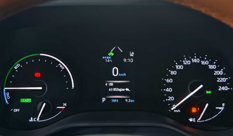 
								Lorinser Grevia 2026 2.5L High-End Edition full									