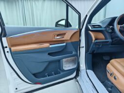 
										Lorinser Grevia 2026 2.5L High-End Edition full									