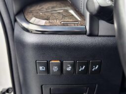 
										Toyota Vellfire 2019 Dual-Hybrid 2.5L HV Premium Edition full									