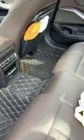 BMW 3 Series 2020 325Li M Sport Night Edition Package