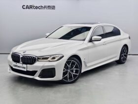 BMW 5 Series 2021 530Li Luxury M Sport Package