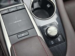 
										Lexus RX 2020 Model Year Facelift 300 FWD Comfort Edition full									