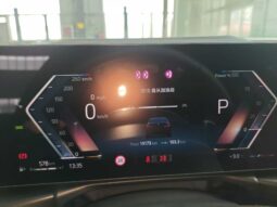 
										BMW 3 Series 2025 330Li Luxury M Sport Night Edition Package full									