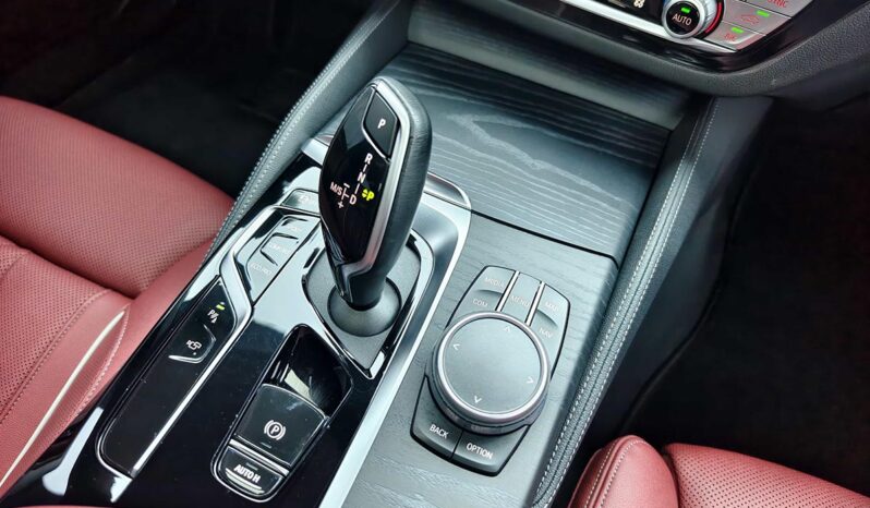 
								BMW 5 Series 2021 530Li Luxury M Sport Package full									