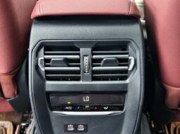 
										BMW 3 Series 2021 325Li M Sport Package full									