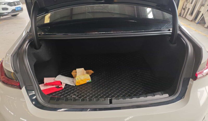 
								BMW 3 Series 2025 330Li Luxury M Sport Night Edition Package full									