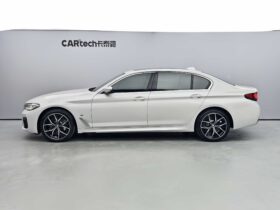 BMW 5 Series 2021 530Li Luxury M Sport Package