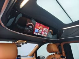 Mercedes-Benz Platinum VC Series 2022 2.0T Wei Xiang