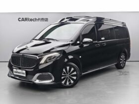 Mercedes-Benz Platinum VC Series 2022 2.0T Wei Xiang