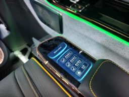 
										2025 Mercedes-Benz V-Class V300L Long Wheelbase Luxury Edition full									