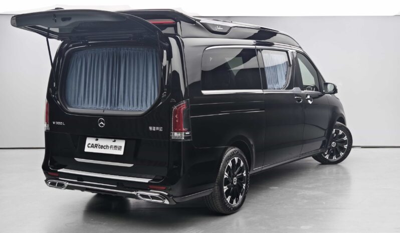 
								2025 Mercedes-Benz V-Class V300L Long Wheelbase Luxury Edition full									